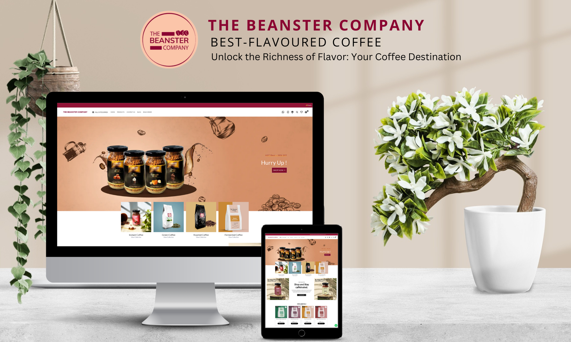 The Beanster Company